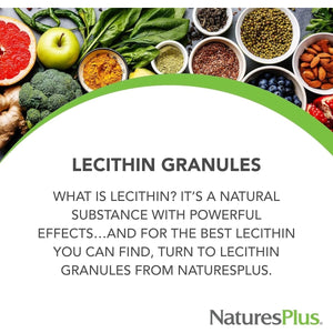 Natures plus Lecithin Granules - 95% Soy Phosphatides, 12 Oz - Lecithin Powder Supplement 45 Servings - Suppviv