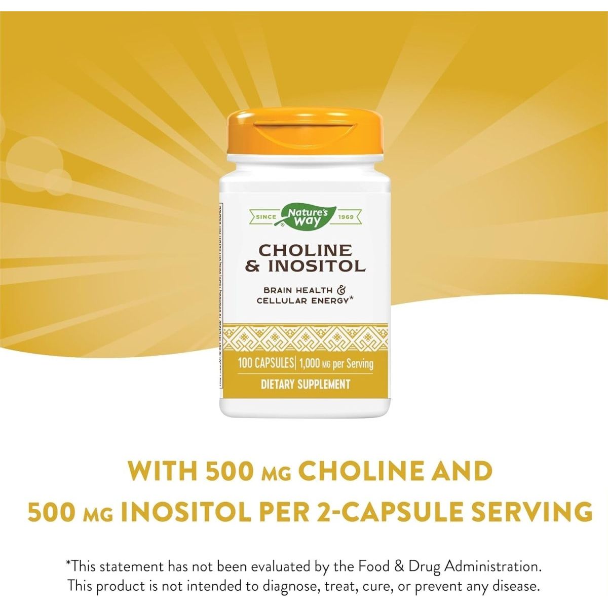 Nature'S Way Choline & Inositol - 1,000 Mg - Supports Brain Health & Cellular Energy* 100 Capsules - Suppviv