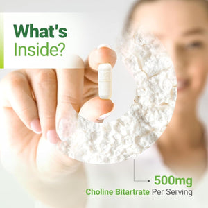 Nested Naturals Choline Bitartrate 500Mg - Supports Cognitive Performance & Liver Function - 90 Vegan Capsules - Suppviv