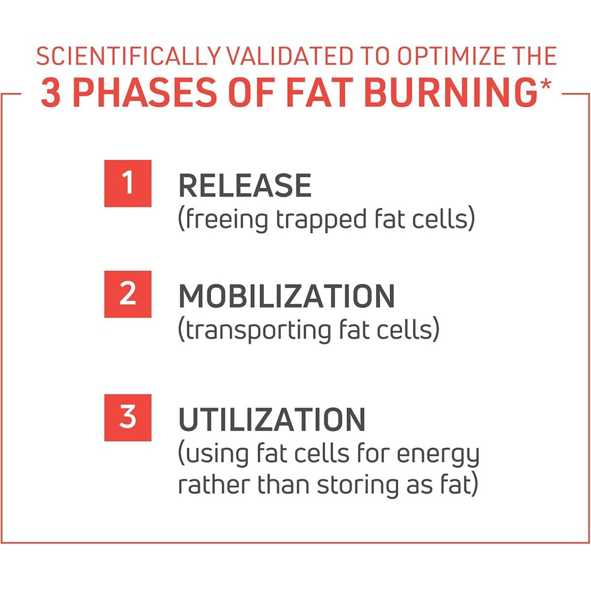 Novex Biotech Thermodyne - Thermogenic Fat Burner & Metabolism Boost 120 Pills - Suppviv