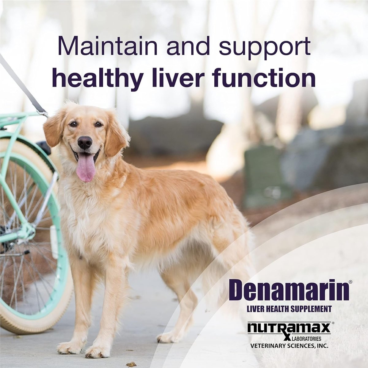 Nutramax Denamarin Liver Health Supplement for Large Dogs (30Count) - Suppviv