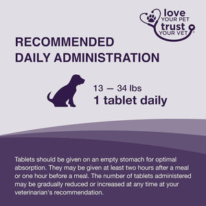 Nutramax Laboratories Denamarin Liver Health Supplement for Medium Dogs - 30 Tablets - Suppviv