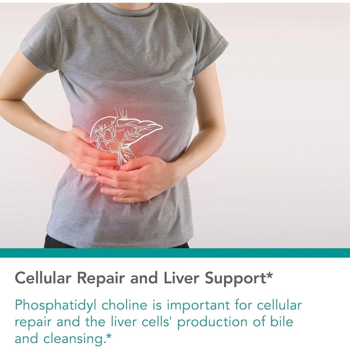 Nutricology Phosphatidyl Choline Supplement - Choline Supplements for Fatty Liver, 1540Mg Softgels - 100 Count - Suppviv