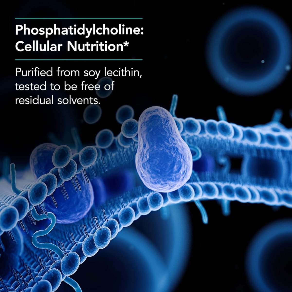 Nutricology Phosphatidyl Choline Supplement - Choline Supplements for Fatty Liver, 1540Mg Softgels - 100 Count - Suppviv