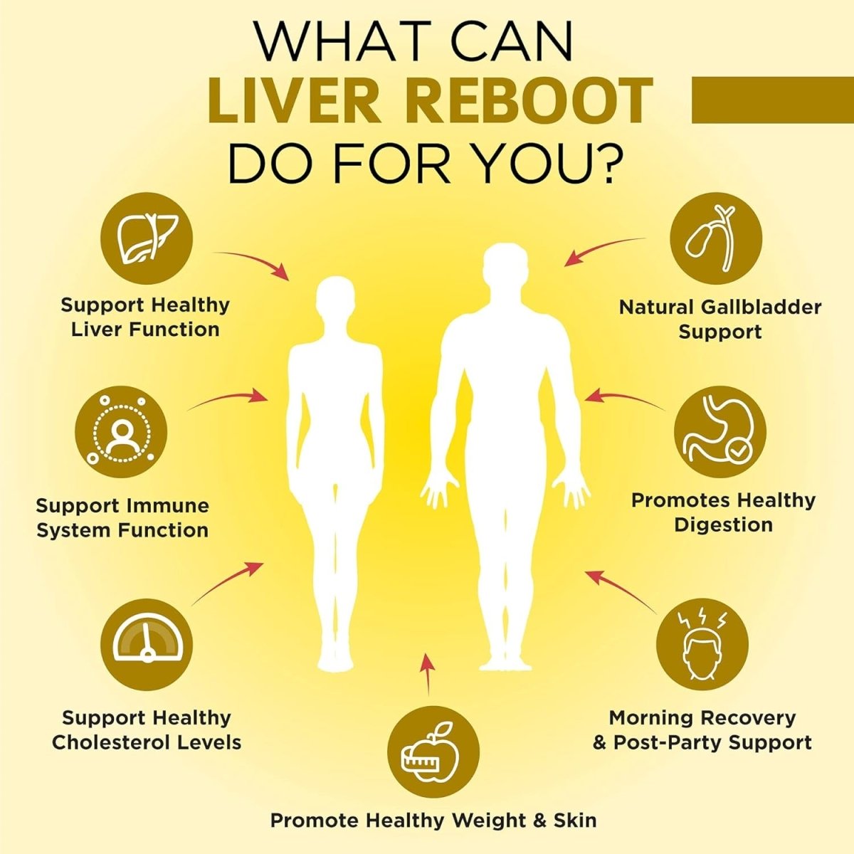 Omnibiotics Liver Detox & Cleanse Support 60 Capsules 1 PACK - Suppviv