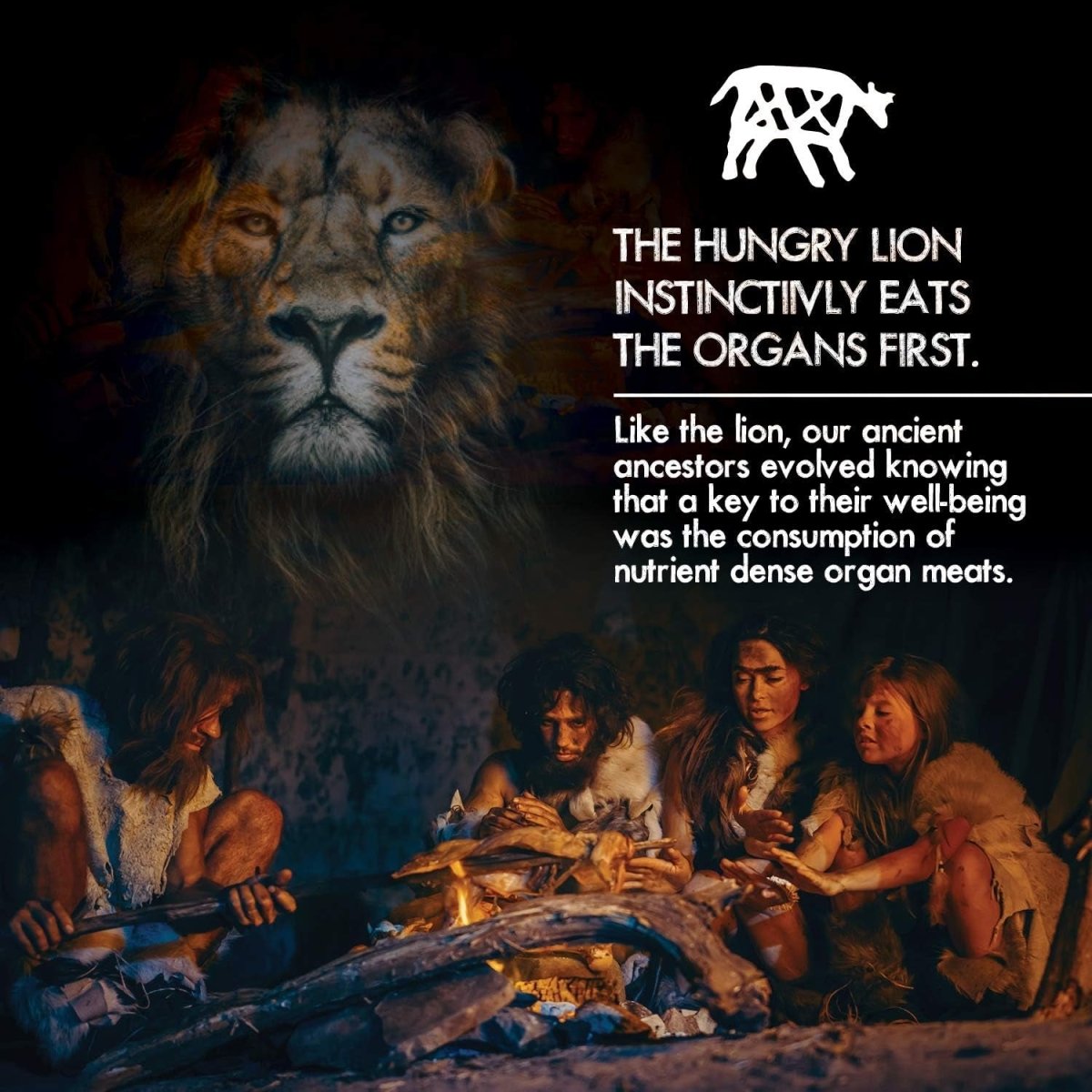 Paleo Pro Liver Gold Premium Beef Organs 180 Capsules - Suppviv