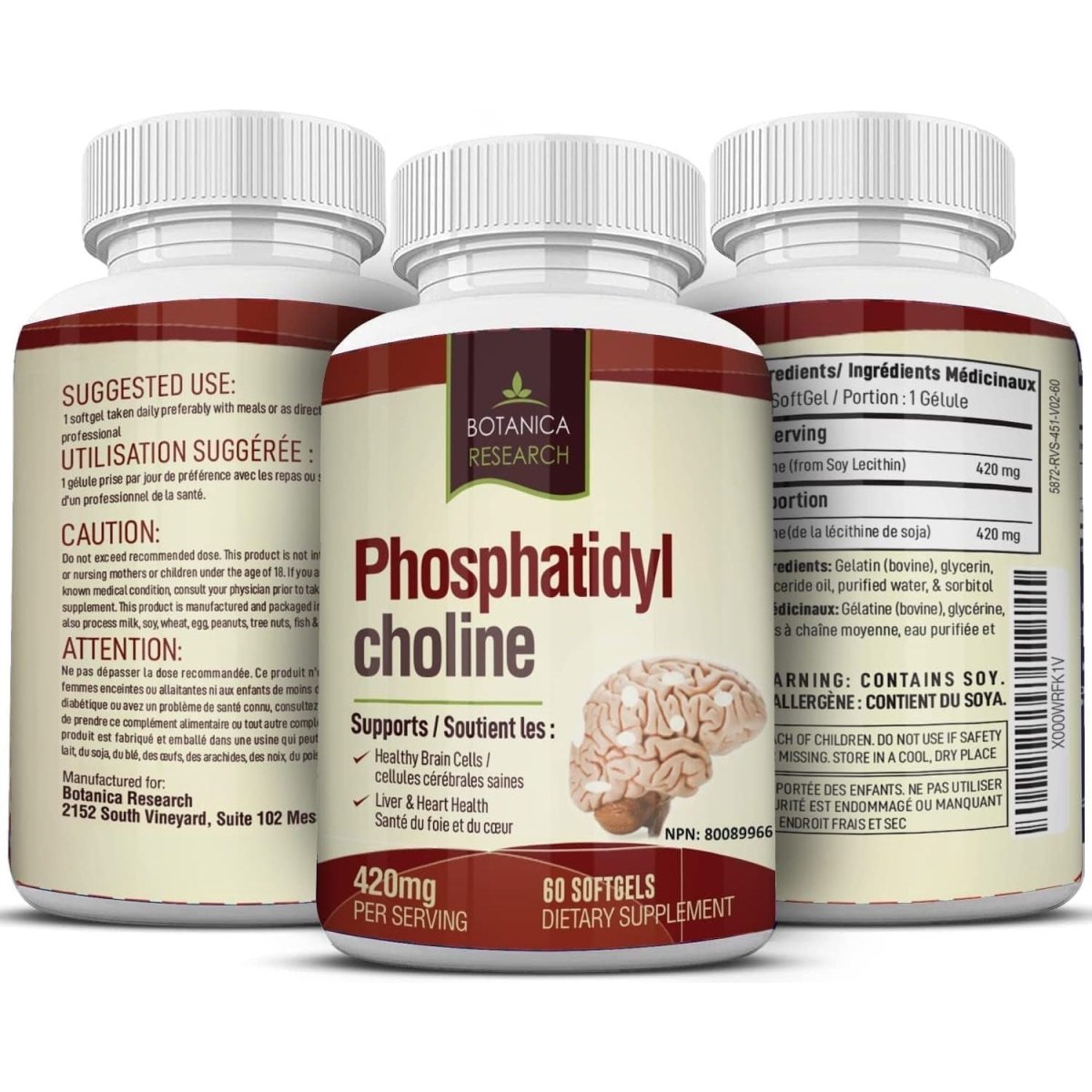 Phosphatidylcholine Complex an All - Natural Nootropic Formula for Brain Health, Liver & Cognitive Support - 60 Capsules by Botanica Research - Suppviv