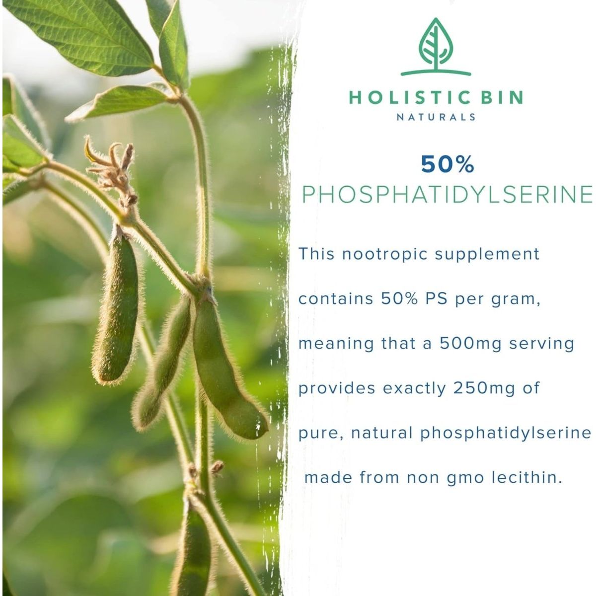 Phosphatidylserine Powder | Phosphatidylserine Supplement Powder | Nootropics Brain Support Supplement - Suppviv