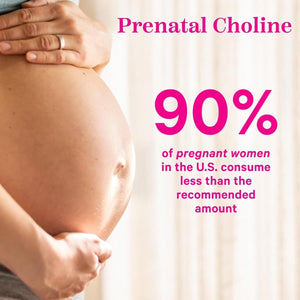 Pink Stork Choline - 550 Mg Choline Bitartrate from Vitacholine for Pregnant + Postpartum Moms 30 Count - Suppviv
