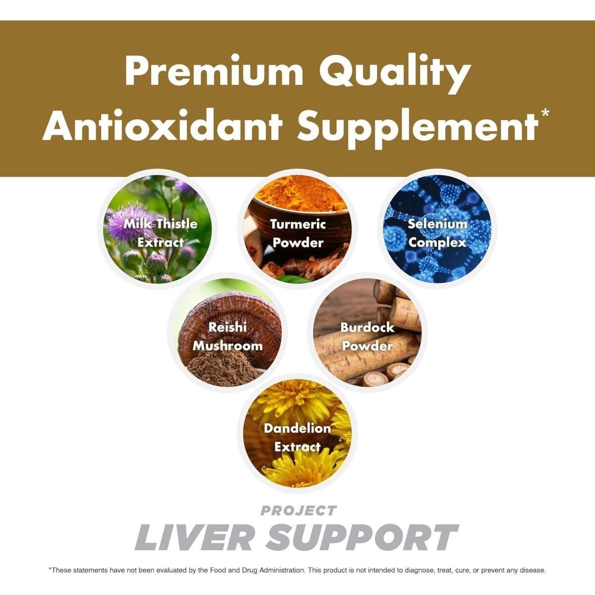 Project Liver Support, Aids Liver Health, Antioxidant Support (60 Capsules) - Suppviv