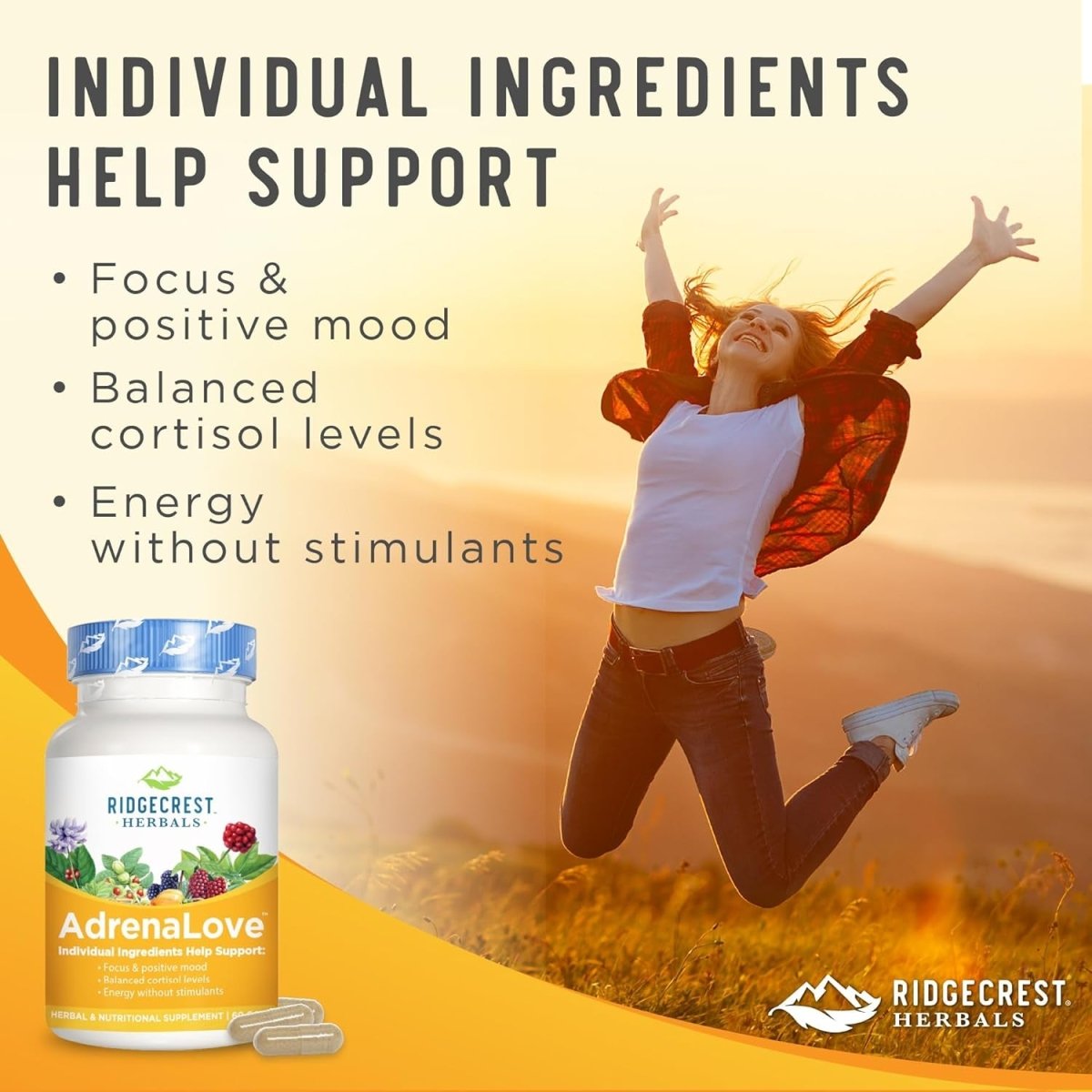 Ridgecrest Herbals Adrenal Fatigue Fighter (60 Capsules) - Suppviv