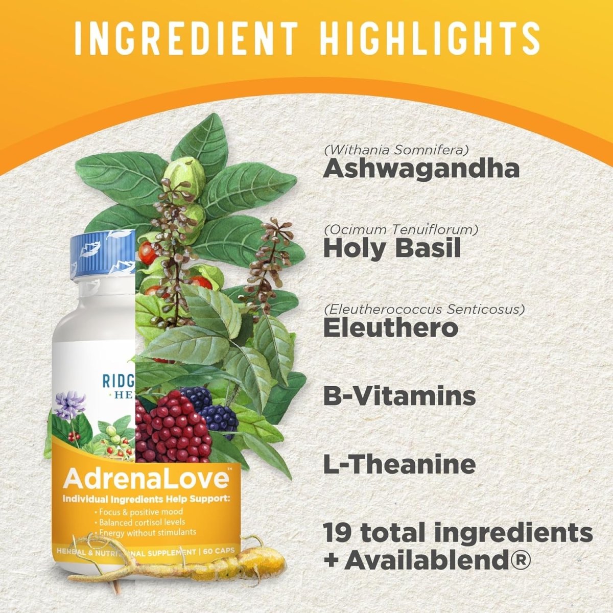 Ridgecrest Herbals Adrenal Fatigue Fighter (60 Capsules) - Suppviv