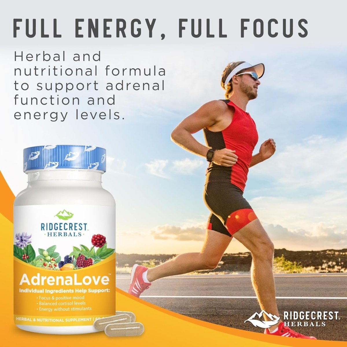 Ridgecrest Herbals Adrenal Fatigue Fighter (60 Capsules) - Suppviv