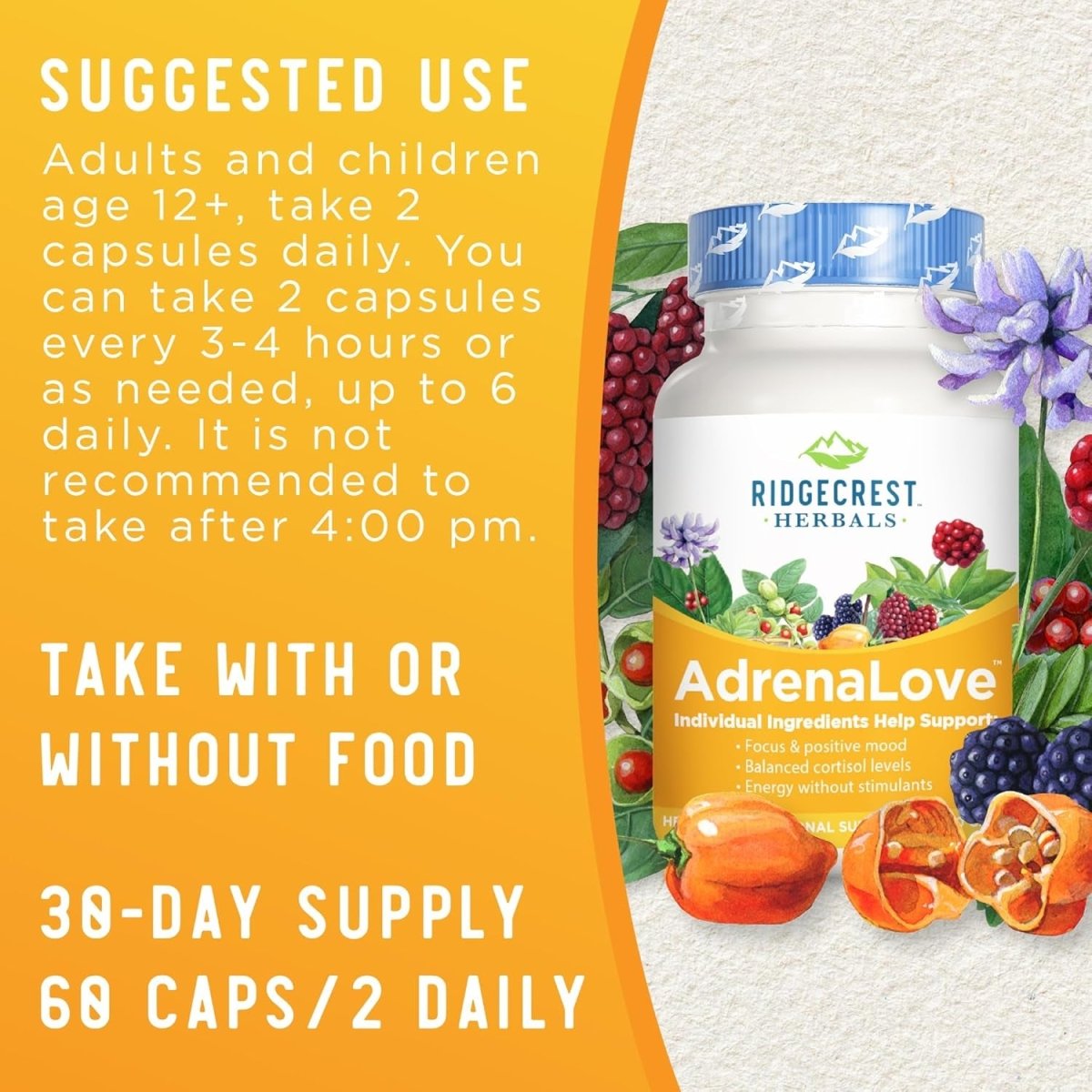 Ridgecrest Herbals Adrenal Fatigue Fighter (60 Capsules) - Suppviv