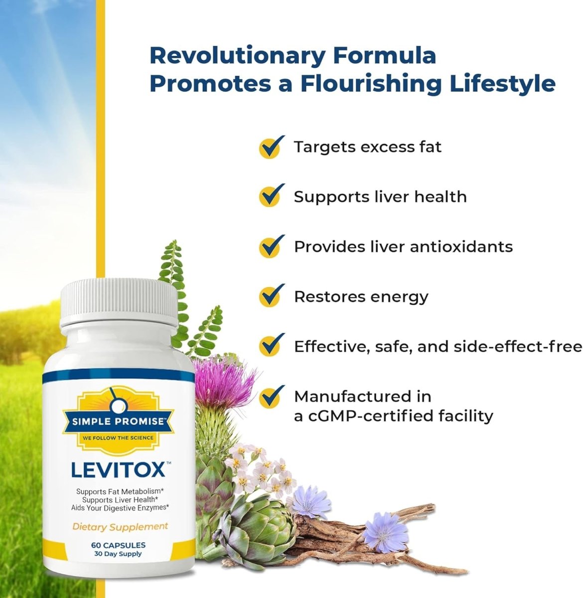 Simple Promise - Levitox - Groundbreaking Weight and Liver Support 60 Capsules - Suppviv