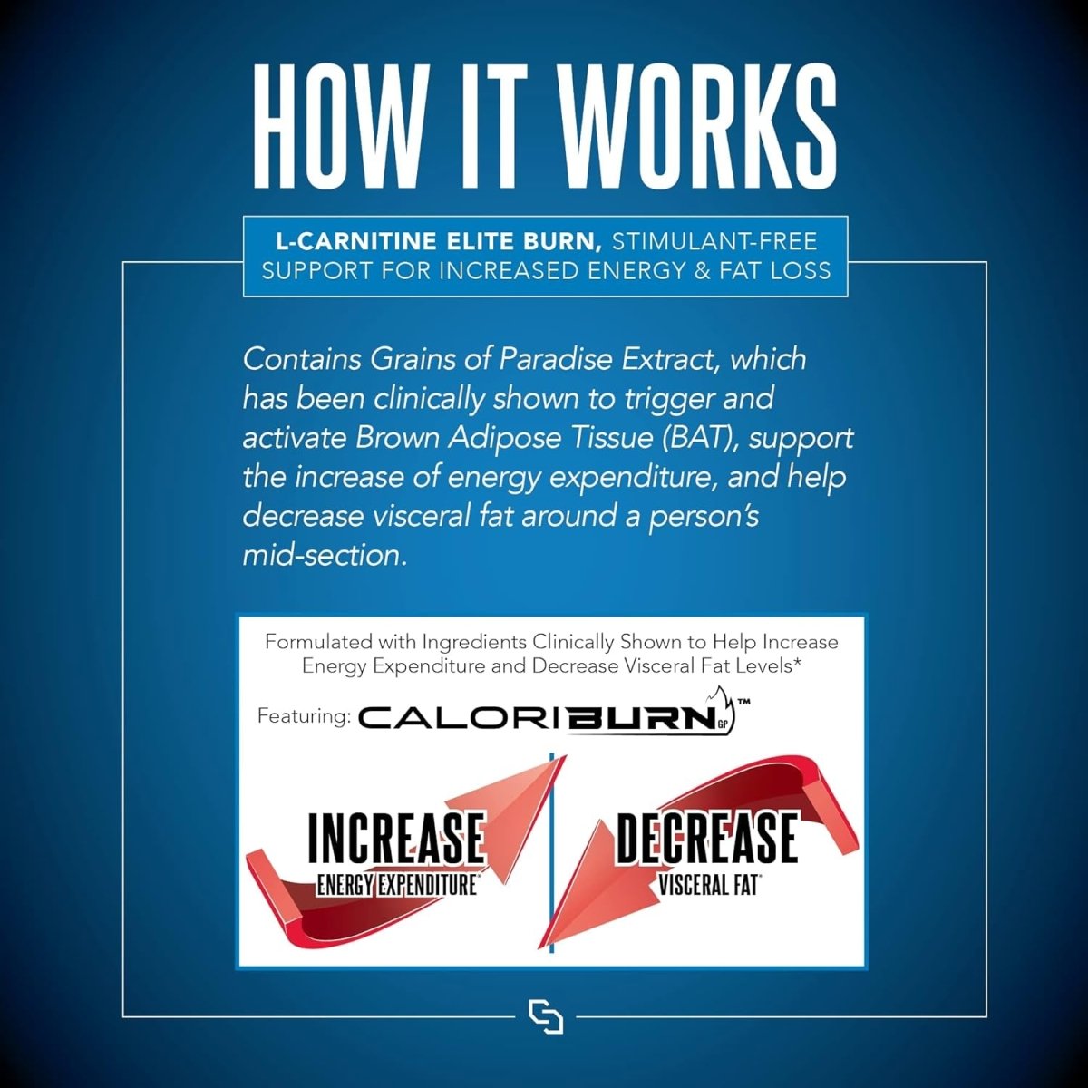 Siren Labs L - Carnitine Elite Burn Liquid Keto Fat Burner and Metabolism Activator (32 Servings) - Suppviv