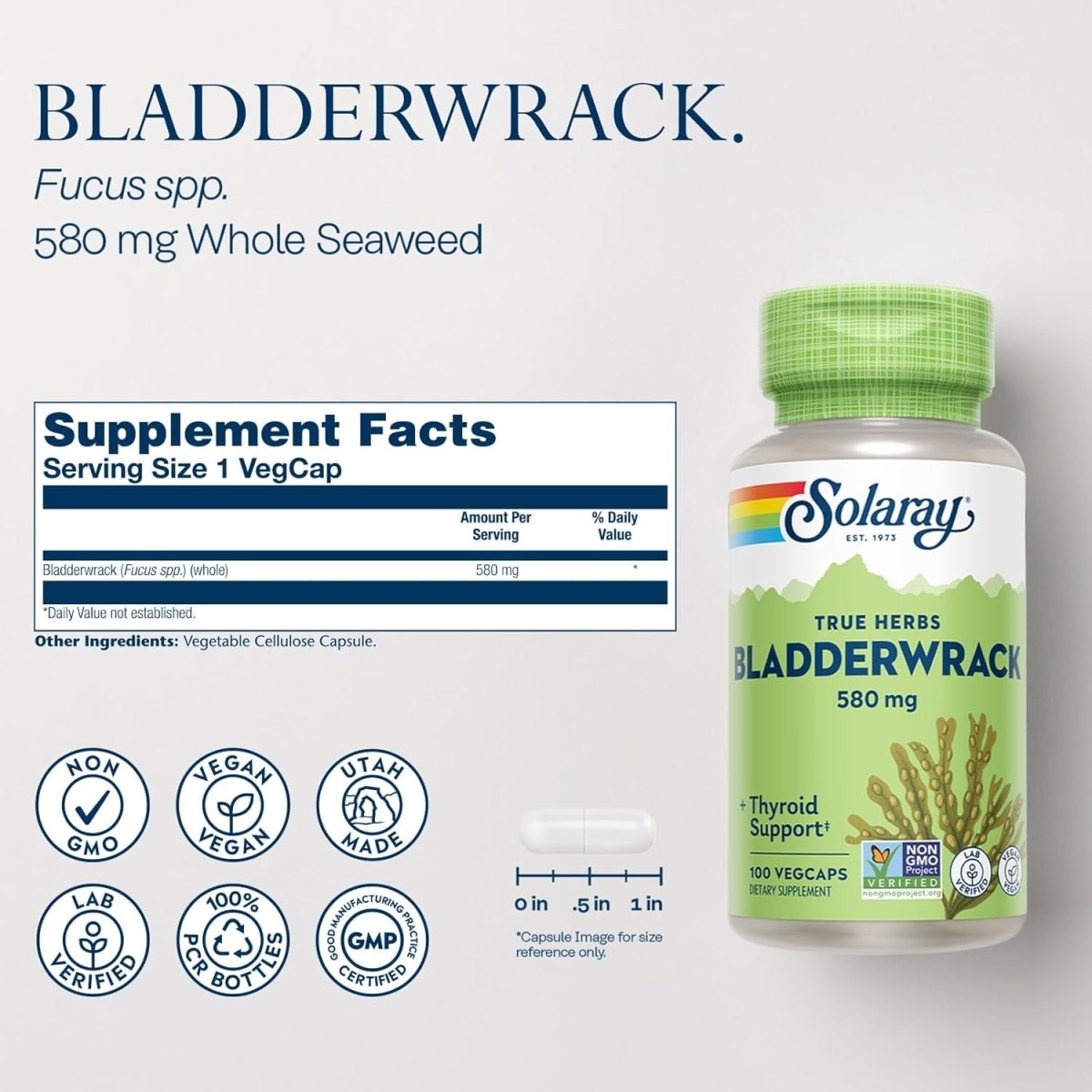 SOLARAY Bladderwrack Seaweed 580 Mg Healthy Thyroid Balance 100 Vegcaps - Suppviv