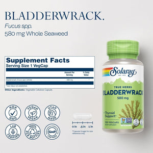 SOLARAY Bladderwrack Seaweed 580 Mg Healthy Thyroid Balance 100 Vegcaps - Suppviv