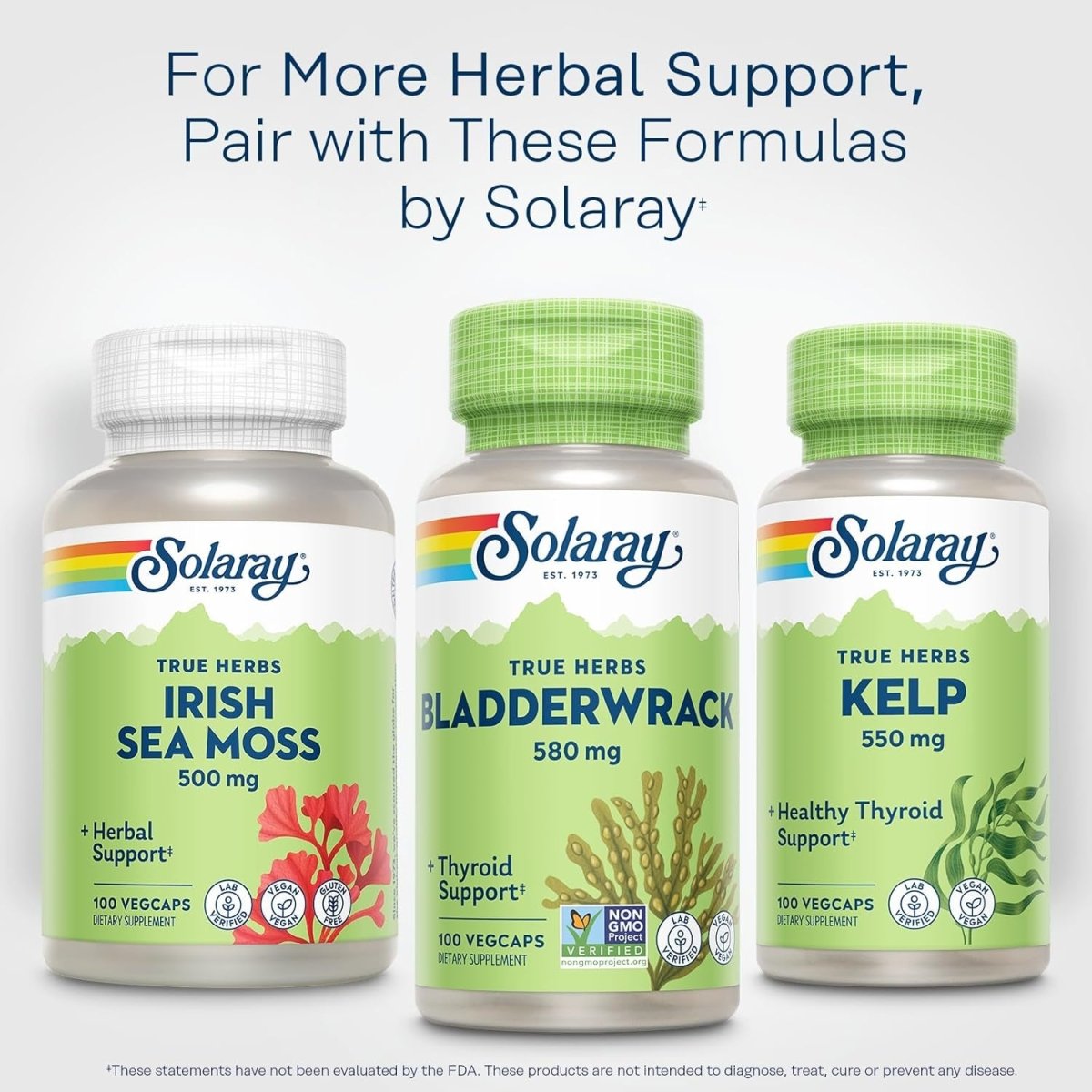 SOLARAY Bladderwrack Seaweed 580 Mg Healthy Thyroid Balance 100 Vegcaps - Suppviv