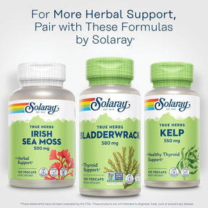 SOLARAY Bladderwrack Seaweed 580 Mg Healthy Thyroid Balance 100 Vegcaps - Suppviv