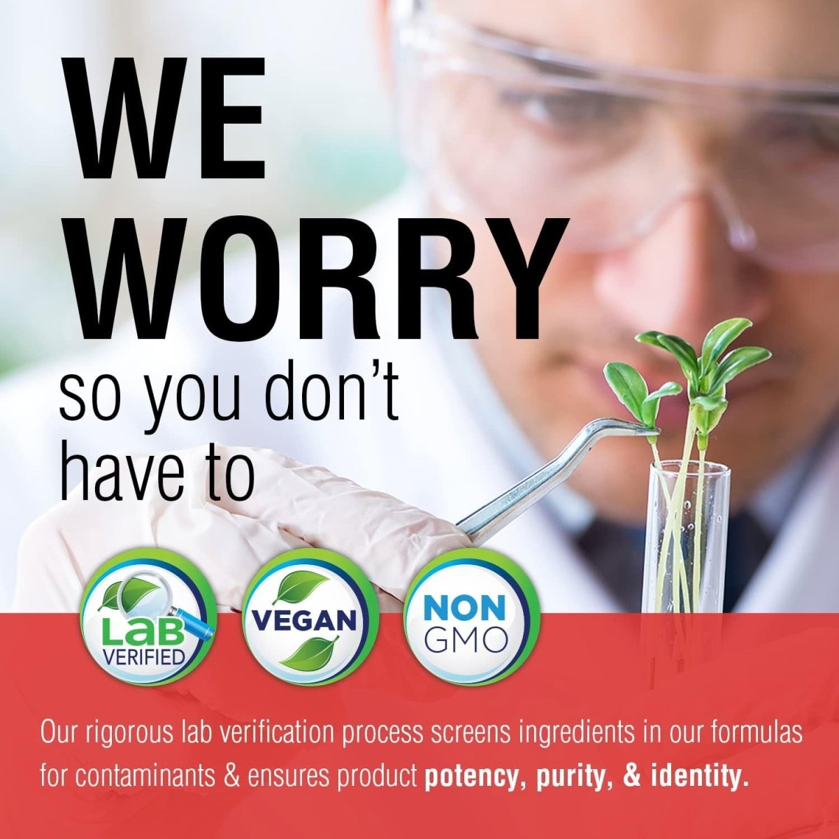 Solaray Choline & Inositol 250 Mg | Two - Nutrient Combo for Healthy Fat Metabolism, Brain Function Support | 100 Vegcaps - Suppviv