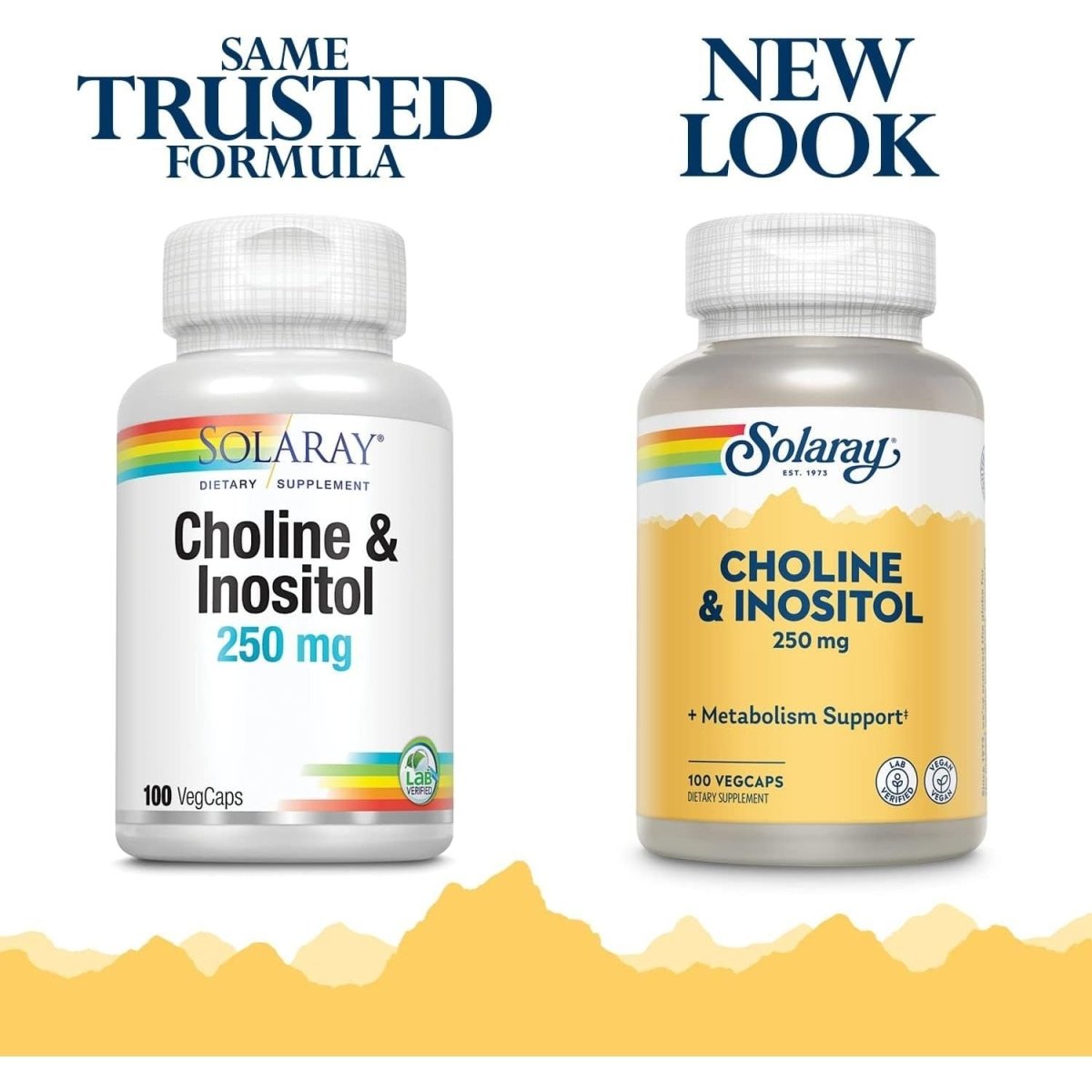 Solaray Choline & Inositol 250 Mg | Two - Nutrient Combo for Healthy Fat Metabolism, Brain Function Support | 100 Vegcaps - Suppviv