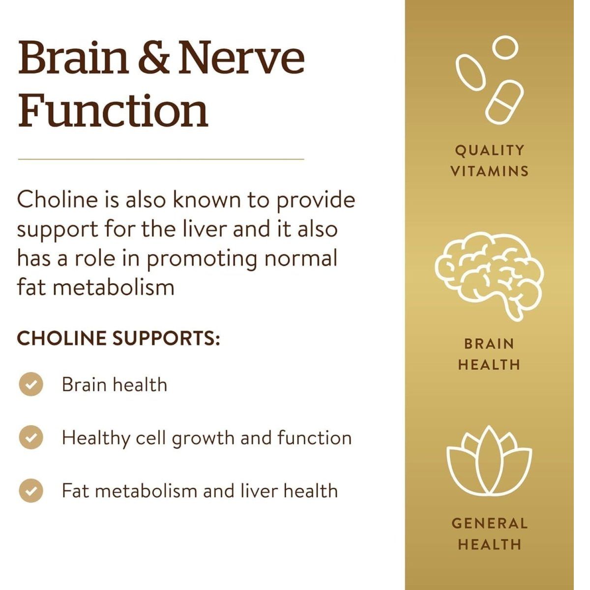 Solgar Choline 350 Mg, 100 Vegetable Capsules - Supports Healthy Brain & Cellular Function - Suppviv