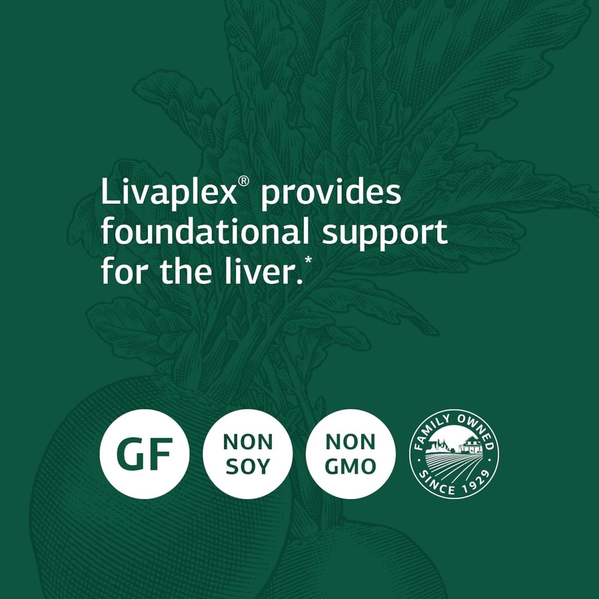 Standard Process Livaplex - Whole Food Bowel, Digestion and Digestive Health, Liver Health and Gallbladder Support (90 Capsules) - Suppviv