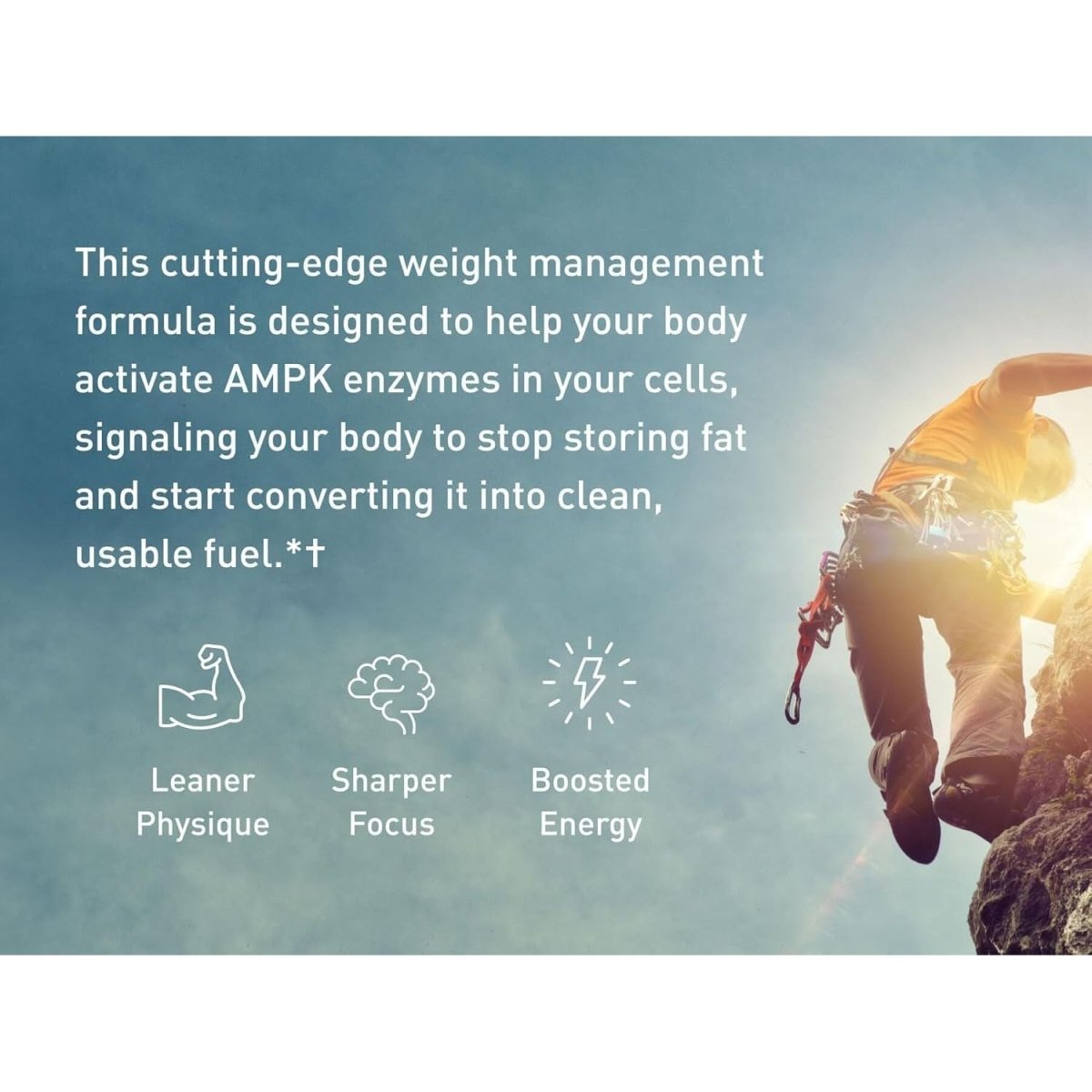 Three Hit Combo – Burn Fat, Boost Energy, and Support Wellness (60 Capsules) - Suppviv