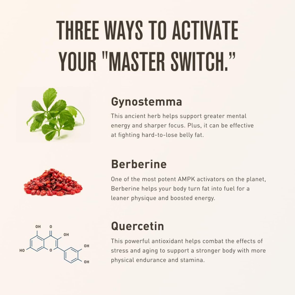 Three Hit Combo – Burn Fat, Boost Energy, and Support Wellness (60 Capsules) - Suppviv