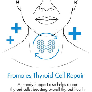 Thyroid Antibody Support Combines Nigella Black Cumin Seed, Selenium 1 PACK - Suppviv