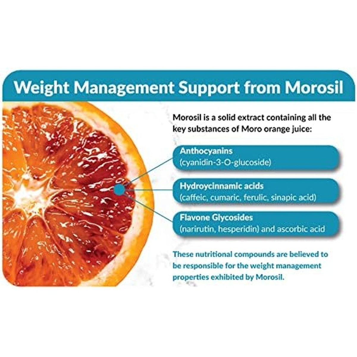 True - Slim 400Mg Morosil Fat and Weight Loss Supplement 30 Capsules - Suppviv