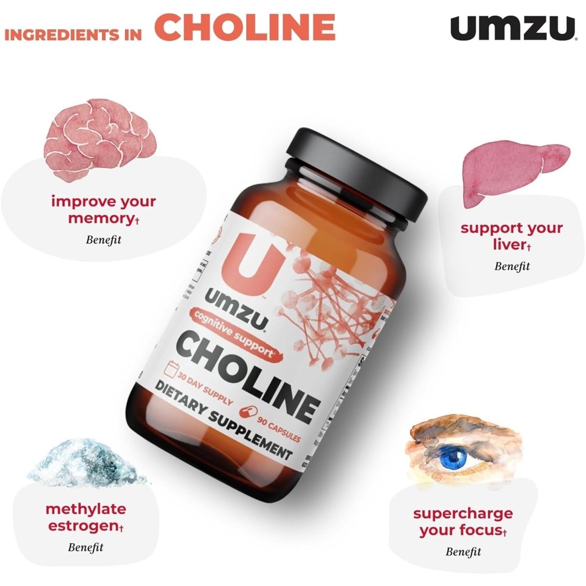 UMZU Choline Supplement for Cognitive and Hormonal Support | Promotes Liver Health & Estrogen Balance (30 Day Supply | 90 Capsules) - Suppviv