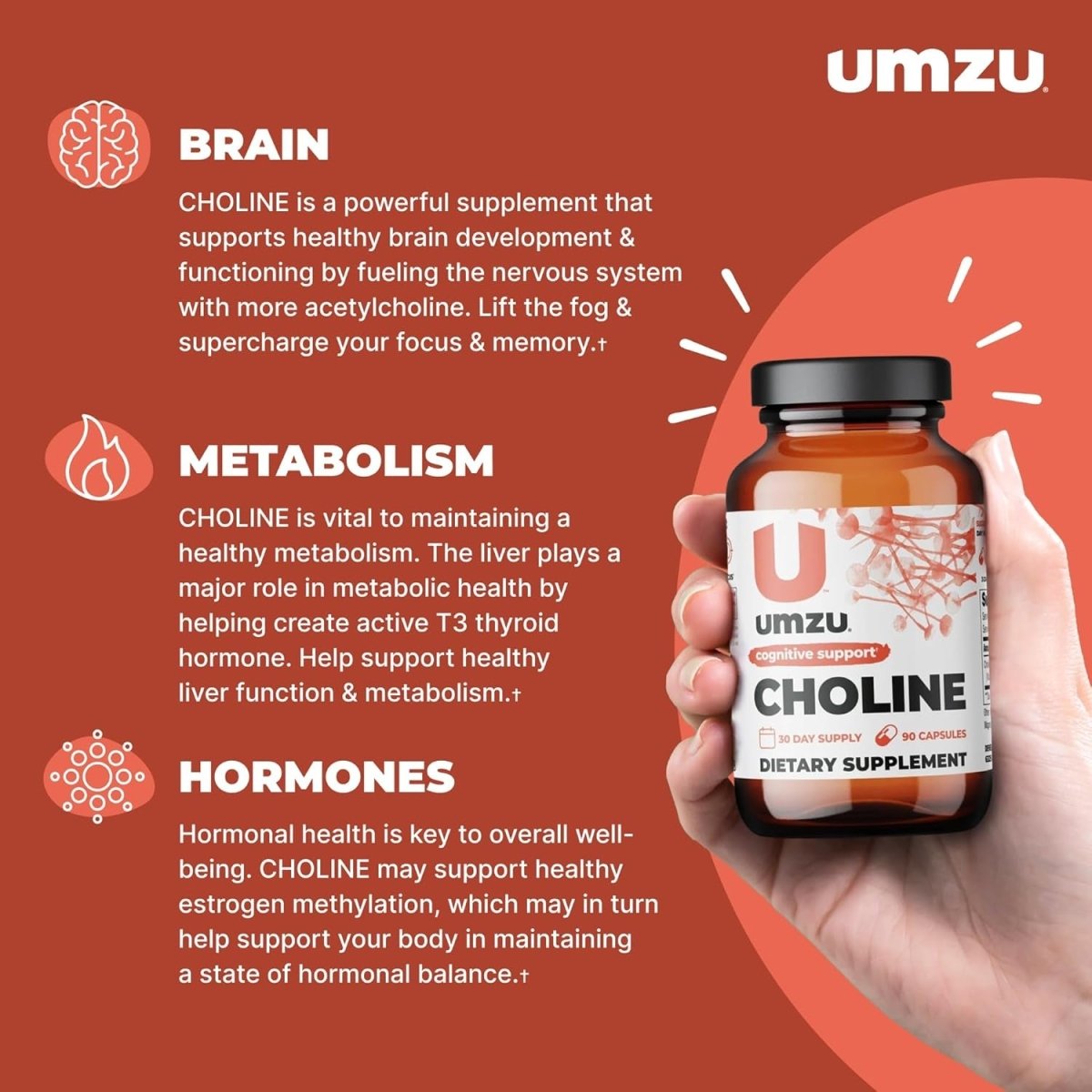 UMZU Choline Supplement for Cognitive and Hormonal Support | Promotes Liver Health & Estrogen Balance (30 Day Supply | 90 Capsules) - Suppviv