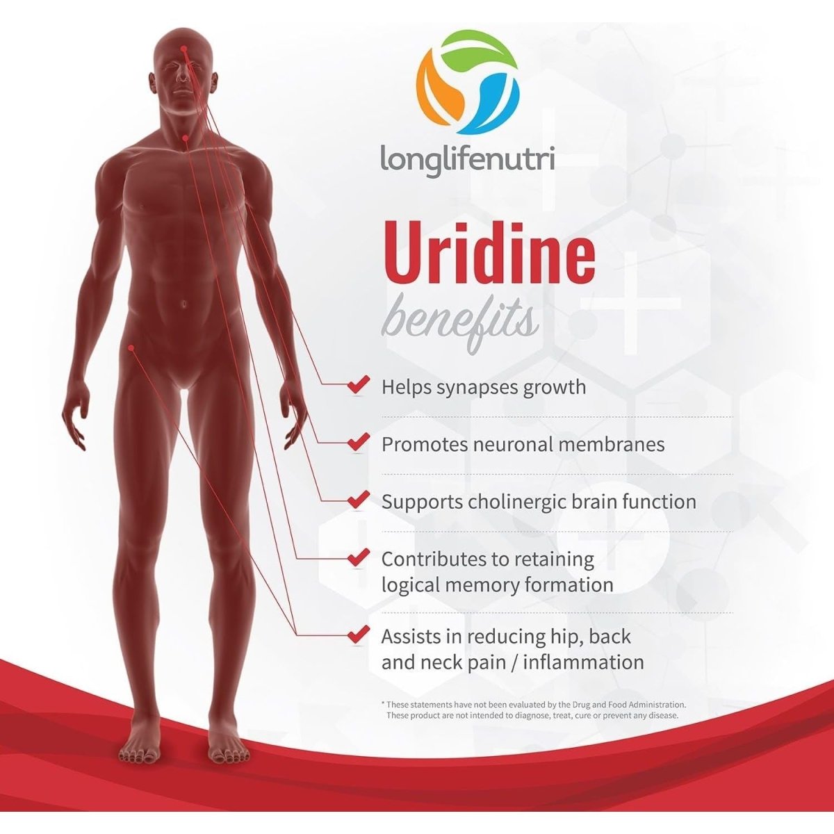 Uridine Monophosphate 300Mg - 120 Veg Caps | Choline Enhancer for Brain & Memory | Supports Synapses Growth - Suppviv