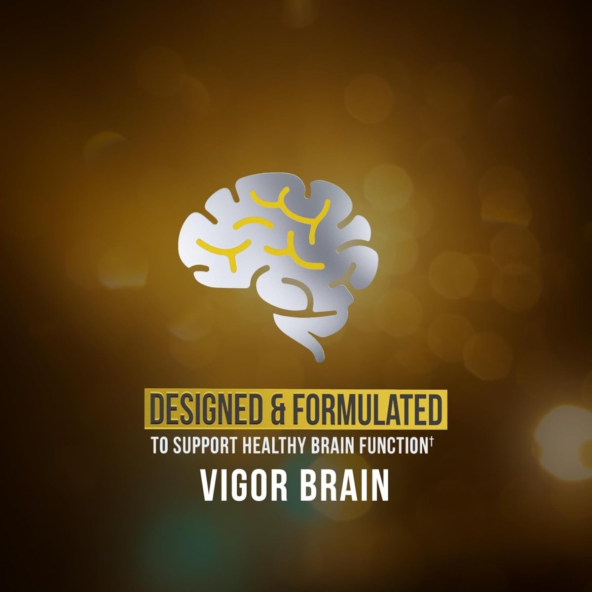 Vigor Brain Premium Nootropic Supplement – Concentration, Brain & Memory Support - Suppviv