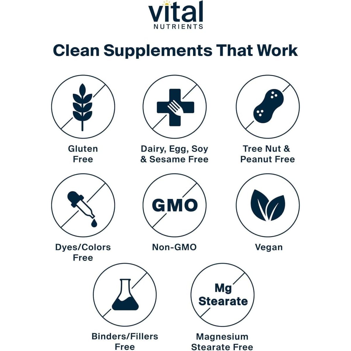 Vital Nutrients Once Daily Multivitamin 60 Capsules - Suppviv